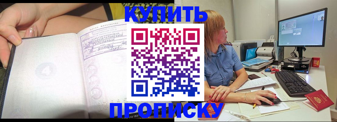 прописка поиск в Новгородской области